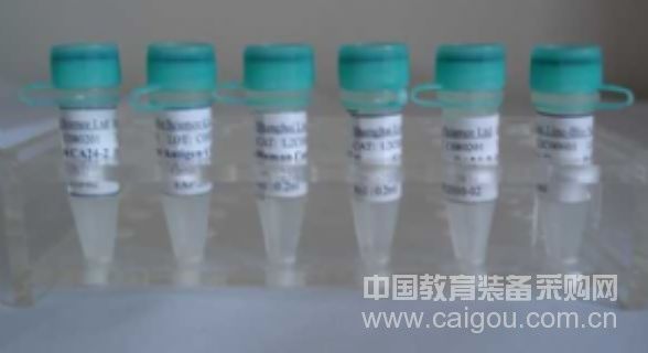 GOLD*小鼠抗HBeAg/Monoclonal Mouse Anti-HBeAg*GOLD