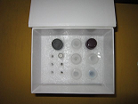 血纤蛋白ELISA试剂盒厂家代测,进口人(Fibrin)ELISA Kit说明书