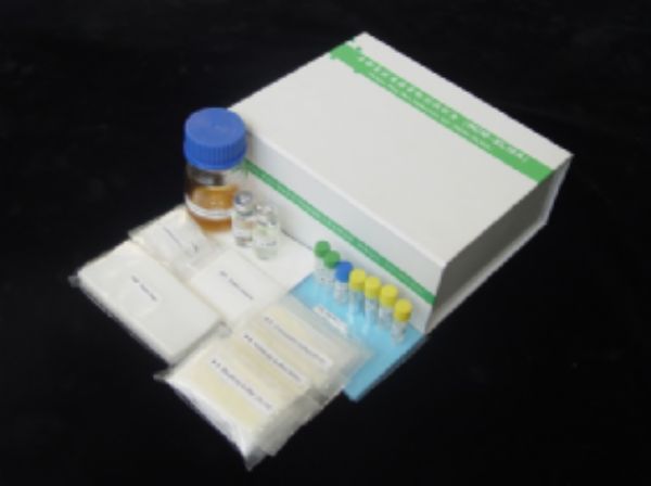 人β内酰胺酶抑制剂(BLI)ELISA试剂盒