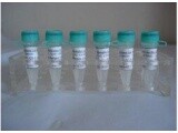 705973-69-9标准品,14BETA-苯甲酰基氧基-2-脱乙酰基巴卡丁VI