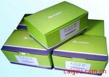 Mag-Bind? Tissue DNA Kit