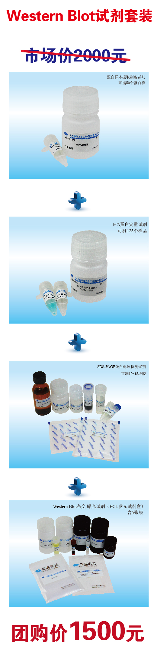 免疫蛋白印迹试剂