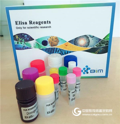 BIM解说:酶联免疫分析试剂盒的回收率