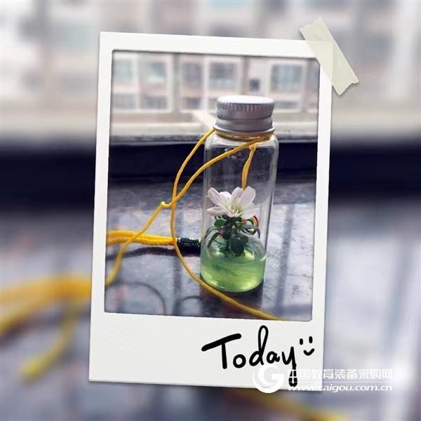 用好教育新装备,提升中小学科技教学战斗力