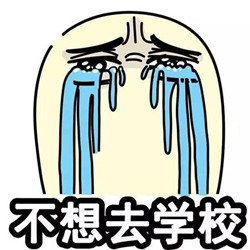 假噱头还是真实用?实地揭秘校园新风
