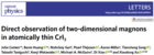 Nature Physics: 低温恒温器成功助力强磁场拉曼实现单层CrI3中二维磁振子的直接观测