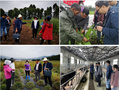 四川农业大学草学专家赴凉山布拖开展牧草生产指导工作