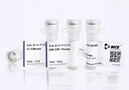 Cytokines 細胞因子產品說明 | MedChemExpress