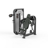 舒华品牌  力量训练器材/健身器材  SH-G6807T二头肌训练器(触屏版)
