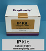 Engibody IF6801  免疫沉淀試劑盒