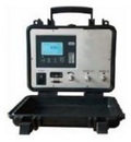 亚欧 便携式氢气纯度分析仪 氢气纯度检测仪  DP30413 0～99.9% H2