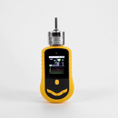亚欧 手持泵吸式臭氧检测仪 泵吸式臭氧测定仪 DP30052 测量范围0-30PPM