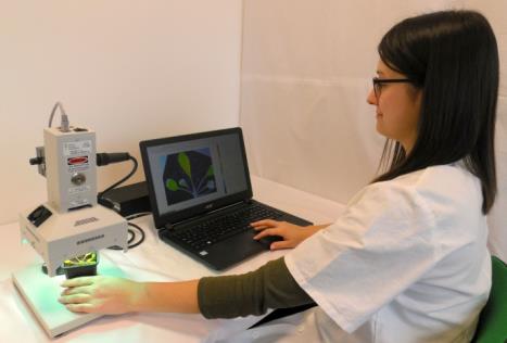 FluorCam便携式叶绿素荧光成像仪