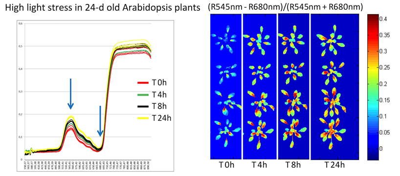 PlantScreen高通量植物表型成像分析平台