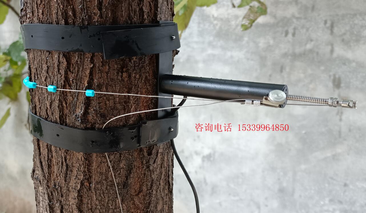 树木生长测量仪树木生长变化传感器