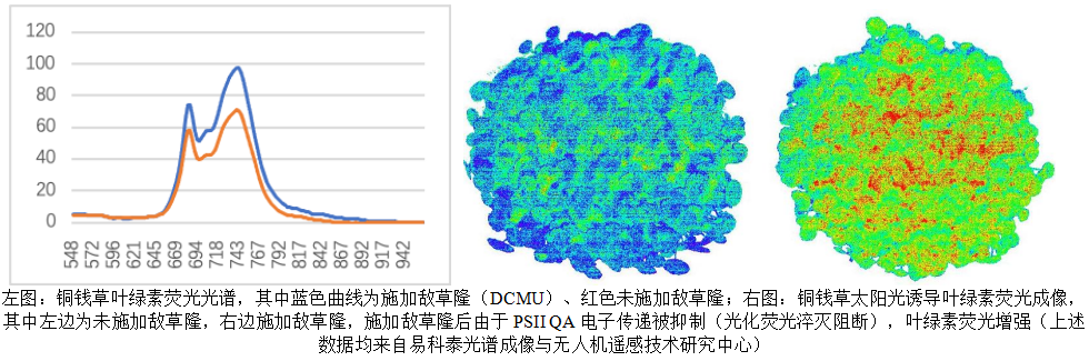 易科泰与您相约第一届生态系统固碳与碳中和高峰论坛