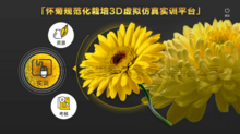 懷菊花栽培種植3D虛擬仿真實訓平臺