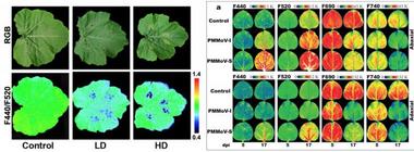 FluorCam移动式植物多光谱荧光成像系统