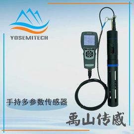 Y4001禹山便攜式多參數測定儀