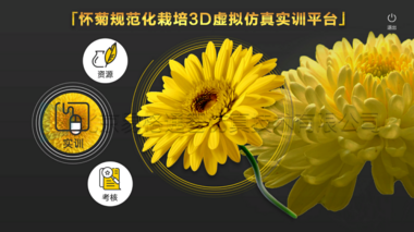 怀菊花栽培种植3D虚拟仿真实训平台