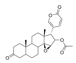 3-羰基華蟾毒精 3-oxo-Cinobufagin