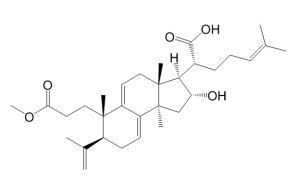 茯苓新酸BM 1815623-74-5