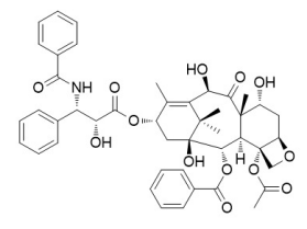 10-去乙?；?7-表紫杉醇 78454-17-8