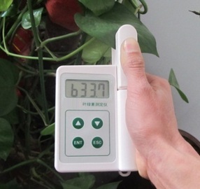 叶绿素测定仪/植物叶绿素检测仪