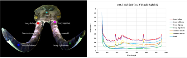SpectrAPP高光谱成像创新应用：高光谱成像技术应用于古生物化石分析