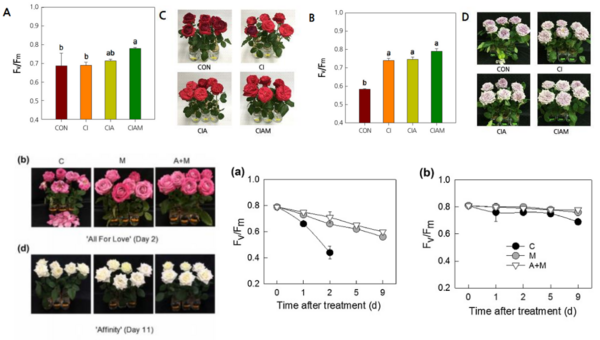 易科泰叶绿素荧光成像技术应用于园艺科学研究—花卉与观赏植物