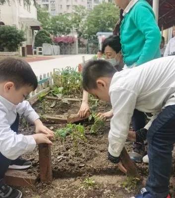 萬科幼兒園開放招生啦!創新課程活動,激發幼兒潛能從這里開始