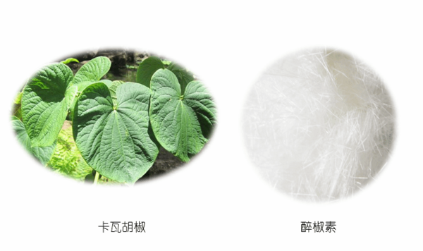 上海同田生物热烈祝贺2020中国国际医药原料药/中间体/包装/设备交易会（API China）顺利召开！