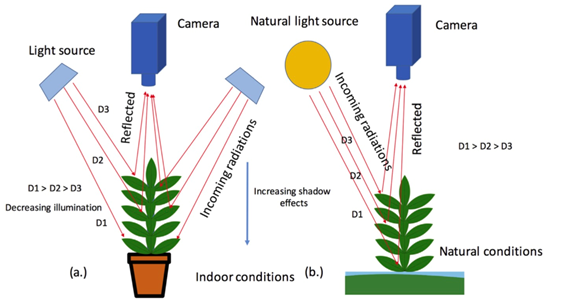 Field-based Phenotyping 大田高通量作物表型成像分析技術方案（二）