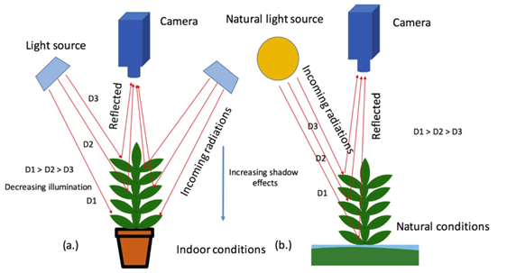 Field-based Phenotyping 大田高通量作物表型成像分析技术方案（二）