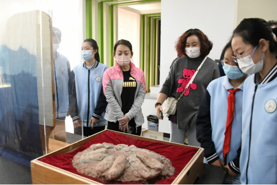 《洪荒印记 古生物化石科普展》在北京市赵登禹学校正式启幕
