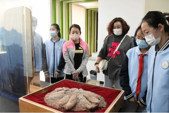 《洪荒印記 古生物化石科普展》在北京市趙登禹學校正式啟幕