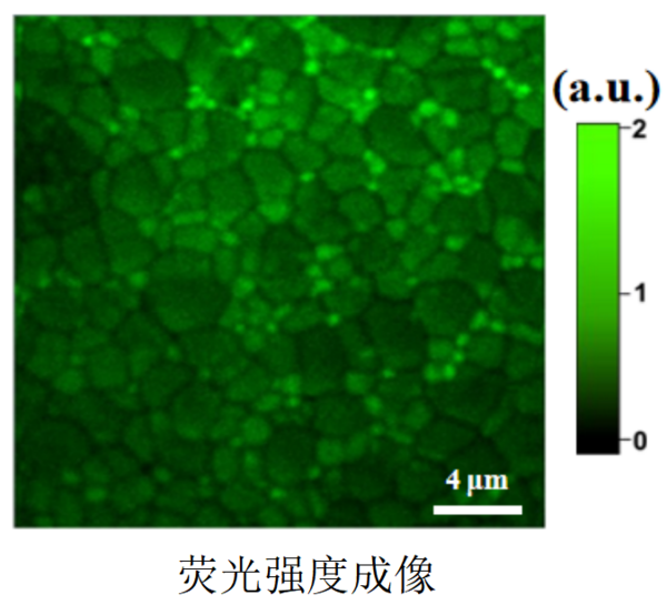 钙钛矿载流子荧光寿命成像|光电流成像