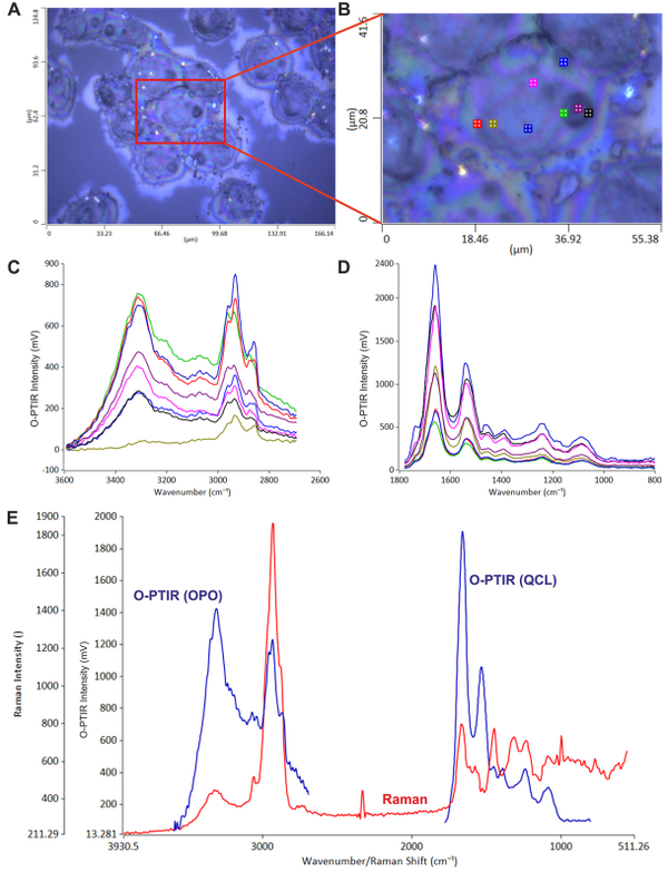 亚微米光学光热红外技术O-PTIR——互补传统拉曼光谱技术