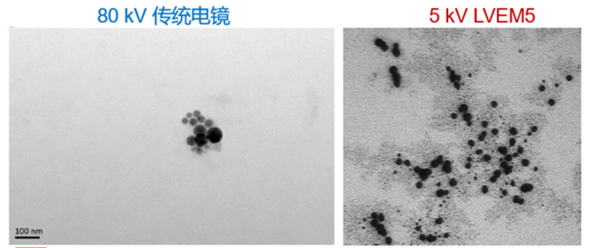 強大的生物成像新工具！5kV低電壓設計、無需染色的低電壓臺式透射電子顯微鏡