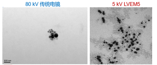 强大的生物成像新工具！5kV低电压设计、无需染色的低电压台式透射电子显微镜