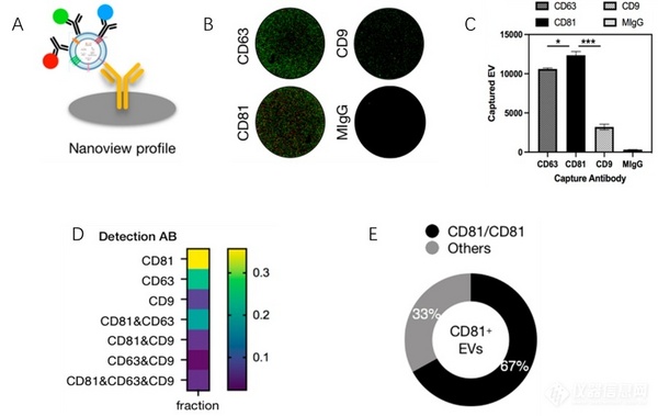 单外泌体表征分析技术2022年Nano Letters盘点丨助力MSC外泌体、单外泌体亚群分析的研究