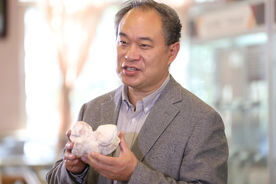 昆明理工大學地學博物館錄制《云南科普》化石專題節目在云南廣播電視臺融媒矩陣播出