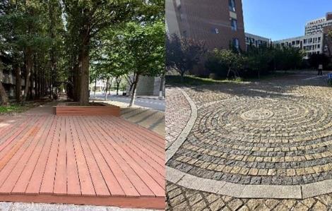 大連理工大學：搶暑期提升環境品質 新學期校園修葺一新