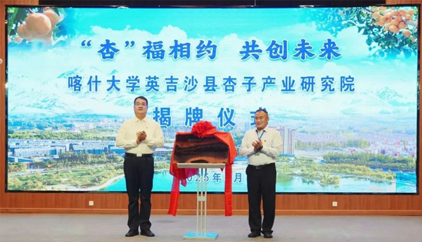 喀什大学与英吉沙县共建杏子产业研究院 科技赋能乡村振兴