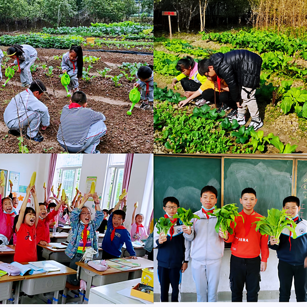 福建3所學校獲評教育部第四批鄉村溫馨校園建設典型案例學校