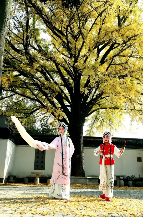 “點亮”聯盟、共建“金課”！蘇州教育亮相這場全國展示活動