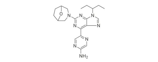 新型抗肿瘤分子 | MedChemExpress