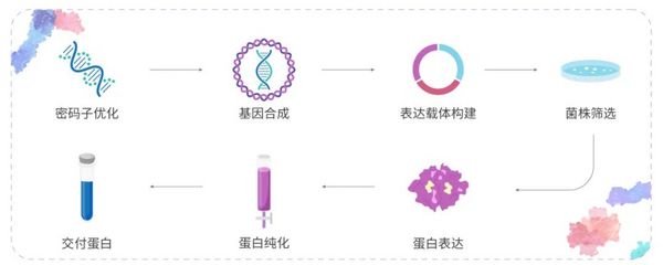科研助攻丨重組蛋白，看這篇就夠了！- MecChemExpress