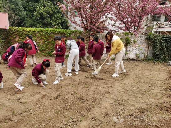 渭濱區多維發力讓勞動教育落地開花
