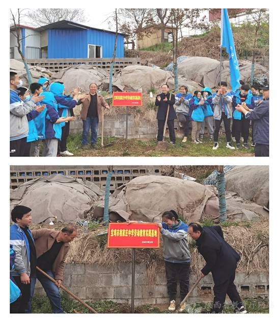 渭濱區多維發力讓勞動教育落地開花